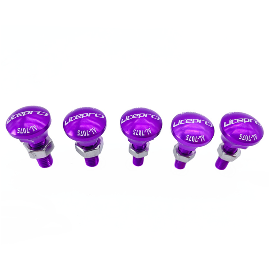Litepro 5Pcs vite di fissaggio - Mountain Biking Pictures recensione e prezzo